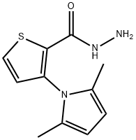 3-(2,5-二甲基-1H-吡咯烷酮-1-基)噻吩-2-甲酰肼 结构式