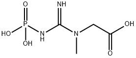 磷酸肌酸 结构式