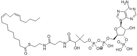 亚油酰基辅酶A,游离酸 结构式