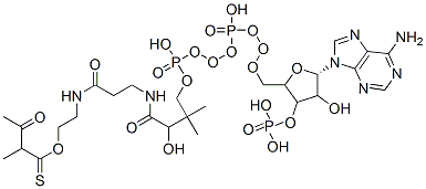 S-[2-[3-[[4-[[[5-(6-aminopurin-9-yl)-4-hydroxy-3-phosphonooxyoxolan-2-yl]methoxy-hydroxyphosphoryl]oxy-hydroxyphosphoryl]oxy-2-hydroxy-3,3-dimethylbutanoyl]amino]propanoylamino]ethyl] 2-methyl-3-oxobutanethioate 结构式