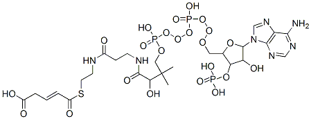 4-[2-[3-[[4-[[[5-(6-aminopurin-9-yl)-4-hydroxy-3-phosphonooxy-oxolan-2-yl]methoxy-hydroxy-phosphoryl]oxy-hydroxy-phosphoryl]oxy-2-hydroxy-3,3-dimethyl-butanoyl]amino]propanoylamino]ethylsulfanylcarbonyl]but-3-enoic acid 结构式
