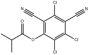 Isobutyric acid 2,4-dicyano-3,5,6-trichlorophenyl ester 结构式