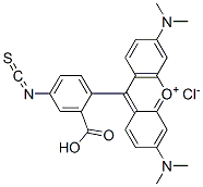 四甲基若丹明B 异氰酸酯 结构式