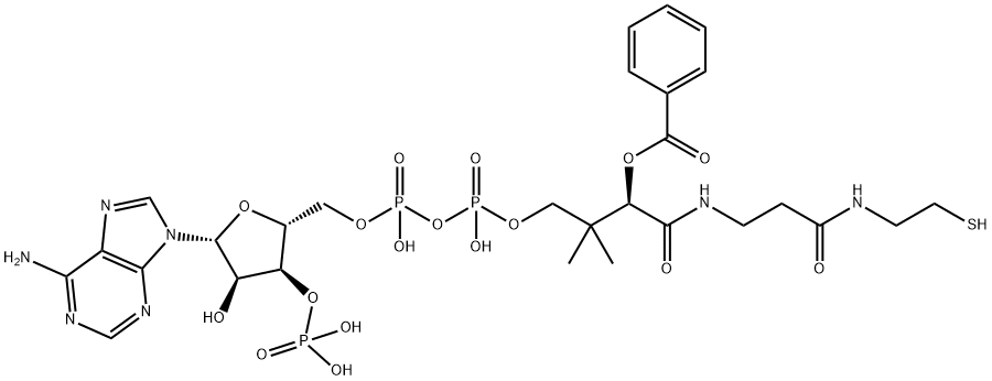 苯甲酰辅酶A 结构式