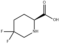 (S)-5,5-二氟哌啶-2-羧酸 结构式