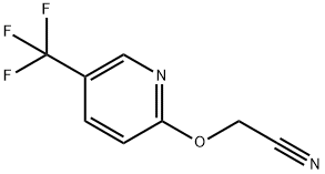 2-[[5-(TRIFLUOROMETHYL)-2-PYRIDYL]OXY]ACETONITRILE 结构式