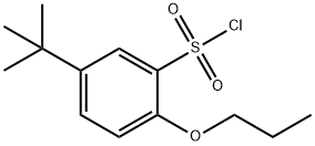 5-(tert-Butyl)-2-propoxybenzene-1-sulfonylchloride