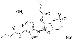 N6,2ˊ-O-二丁酰基腺苷 3ˊ,5ˊ-环磷酸钠盐(一水) 结构式