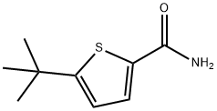 5-叔丁基噻吩-2-甲酰胺 结构式