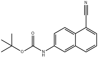 TERT-BUTYL (5-CYANO-2-NAPHTHYL)CARBAMATE 结构式