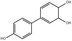 3,5-Cyclohexadiene-1,2-diol, 4-(4-hydroxyphenyl)- (9CI) 结构式