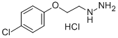 2-(4-氯苯氧基)乙基]肼盐酸盐 结构式
