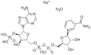 Β-烟酰胺腺嘌呤二核苷酸磷酸钠盐水合物 结构式