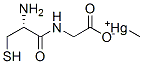 methylmercury cysteinylglycine 结构式