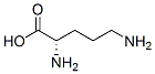 Ornithine 结构式