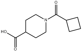 1-(环丁烷羰基)哌啶-4-羧酸 结构式
