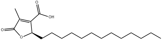 (R)-2-tridecyl-2,5-dihydro-4-methyl-5-oxo-3-furoic acid 结构式