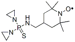 1-Piperidinyloxy, 4-(((bis(1-aziridinyl)phosphinothioyl)amino)methyl)- 2,2,6,6-tetramethyl- 结构式