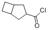 Bicyclo[3.2.0]heptane-3-carbonyl chloride (9CI) 结构式