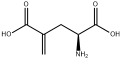 GAMMA-METHYLENE-DL-GLUTAMIC ACID