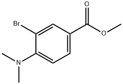 3-溴-4-(二甲基氨基)苯甲酸甲酯 结构式