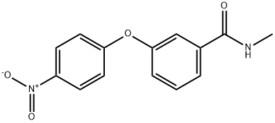 3-(4-NITROPHENOXY)-N-METHYLBENZAMIDE 结构式