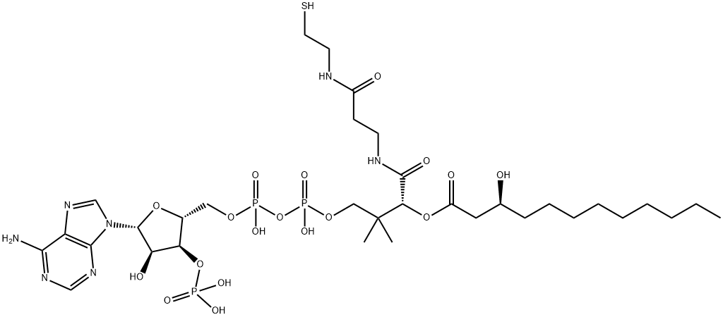 [(2R,3R,4R,5R)-5-(6-aminopurin-9-yl)-4-hydroxy-2-[[hydroxy-[hydroxy-[3-hydroxy-3-[2-[2-[(3S)-3-hydroxydodecanoyl]sulfanylethylcarbamoyl]ethylcarbamoyl]-2,2-dimethyl-propoxy]phosphoryl]oxy-phosphoryl]oxymethyl]oxolan-3-yl]oxyphosphonic acid 结构式