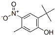 3-Methyl-6-tert-butyl-4-nitrophenol 结构式