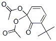 5-tert-Butyl-6-oxo-2,4-cyclohexadienylidenediacetate 结构式