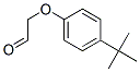 [4-(1,1-二甲基乙基)苯氧基]乙醛 结构式