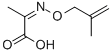 Propanoic acid, 2-[[(2-methyl-2-propenyl)oxy]imino]- (9CI) 结构式