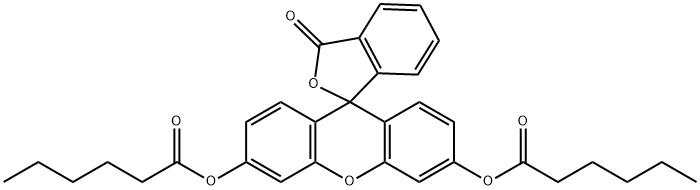 FLUORESCEIN DICAPROATE