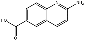 2-氨基喹啉-6-羧酸 结构式