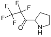 1-Propanone, 2,2,3,3,3-pentafluoro-1-(2-pyrrolidinyl)- (9CI) 结构式