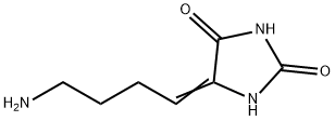 2,4-Imidazolidinedione,  5-(4-aminobutylidene)- 结构式