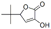 2(5H)-Furanone, 5-(1,1-dimethylethyl)-3-hydroxy- (9CI) 结构式