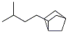 2-(3-Methylbutyl)bicyclo[2.2.1]heptane 结构式