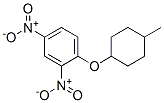 1-[(4-Methylcyclohexyl)oxy]-2,4-dinitrobenzene 结构式