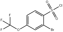 2-溴-4-(三氟甲氧基)苯磺酰氯 结构式