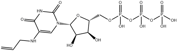 5-[3-氨基烯丙基]尿苷 5′-三磷酸盐 结构式