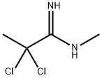 Propanimidamide,  2,2-dichloro-N-methyl- 结构式