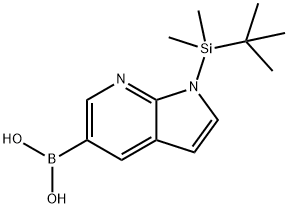 1-(TERT-BUTYL-DIMETHYL-SILANYL)-1H-PYRROLO[2,3-B]PYRIDIN-5-YL BORONIC ACID 结构式