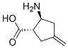 Cyclopentanecarboxylic acid, 2-amino-4-methylene-, (1S,2S)- (9CI) 结构式