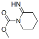 1-Piperidinecarboxylicacid,2-imino-,methylester(9CI) 结构式