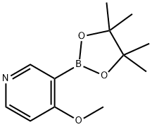 4-甲氧基吡啶-3-硼酸频哪醇酯 结构式