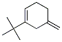 Cyclohexene, 1-(1,1-dimethylethyl)-5-methylene- (9CI) 结构式