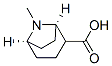 8-Azabicyclo[3.2.1]octane-2-carboxylicacid,8-methyl-,(1R,5R)-(9CI) 结构式