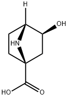 7-Azabicyclo[2.2.1]heptane-1-carboxylicacid,3-hydroxy-,(1S,3S,4R)-(9CI) 结构式