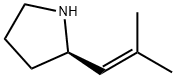 Pyrrolidine, 2-(2-methyl-1-propenyl)-, (+)- (9CI) 结构式