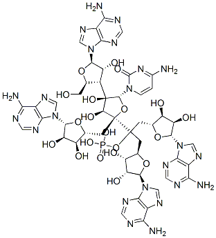 triadenylyl-(2'-3')-adenylyl-cytidylic acid 结构式
